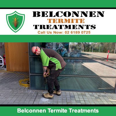 Belconnen Termite Treatments